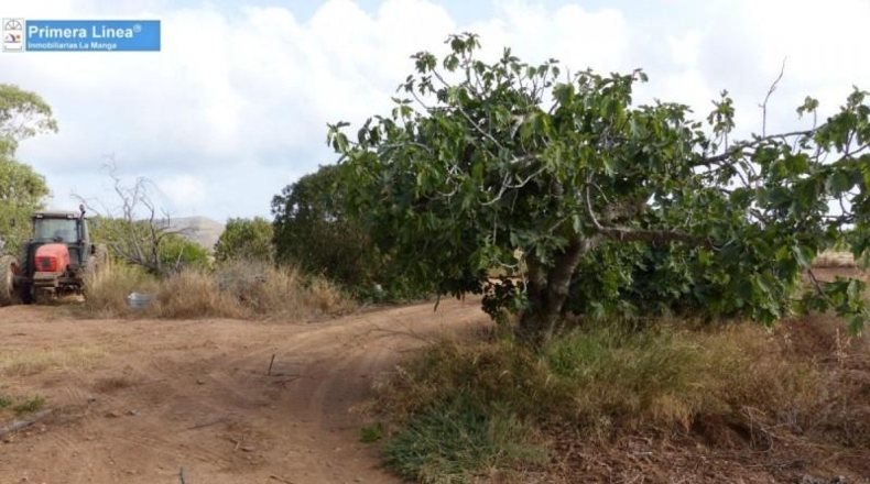 Murcia - Cartagena - 155069m2