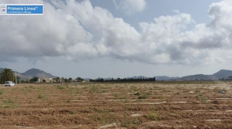 Murcia - Cartagena - 155069m2