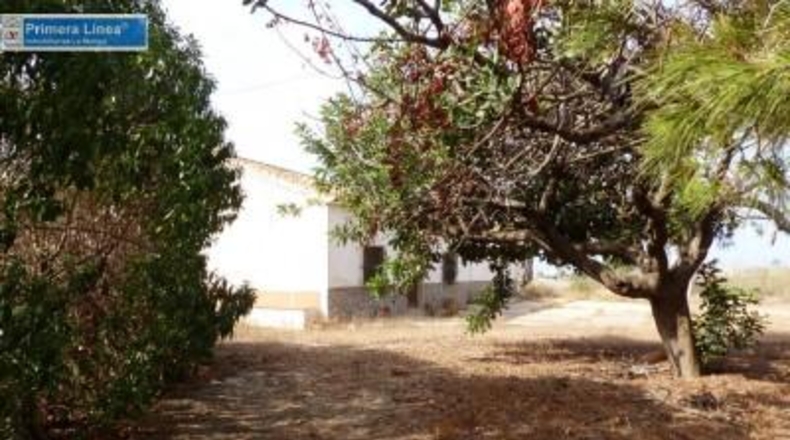 Murcia - Cartagena - 155069m2