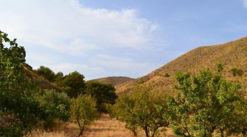 Murcia - Águilas - 73261m2