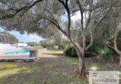 Chalet independiente con terreno en venta en la España, Mahón, ref: TR312571 foto