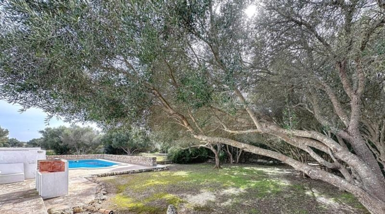 Islas Baleares - Mahón - 9624m2