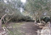Chalet independiente con terreno en venta en la España, Mahón, ref: TR312571 foto