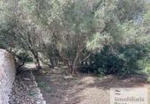 Chalet independiente con terreno en venta en la España, Mahón, ref: TR312571 foto