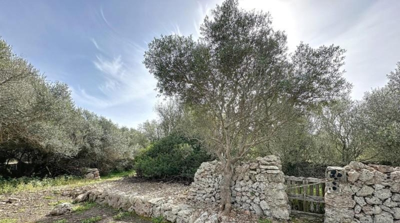 Islas Baleares - Mahón - 9624m2