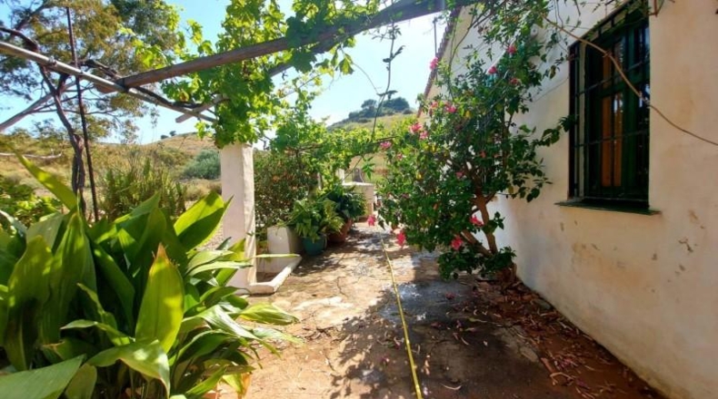 Málaga - Mijas - 51400m2