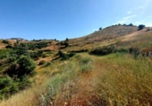 Casa de camp amb terreny en venda a la España, Campo-Mijas, ref.: TR145778 foto