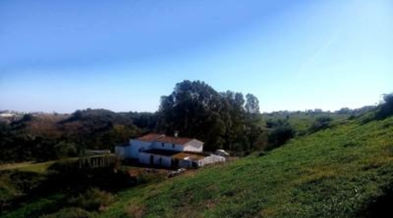 Málaga - Mijas - 51400m2