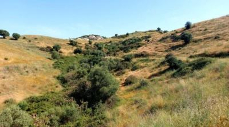 Málaga - Mijas - 51400m2