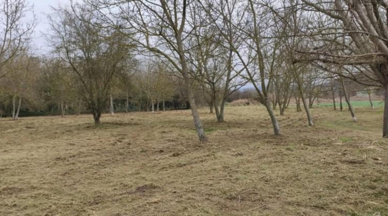 Barcelona - Tona - 5410m2