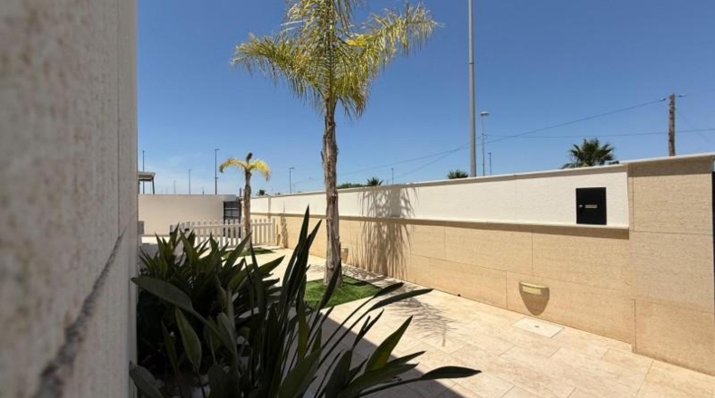 Alicante - Benijófar - 650m2