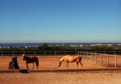 Отдельно стоящий дом с участком на продажу в городе el Vendrell Фото