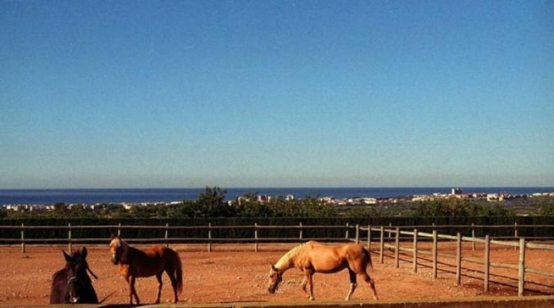 Tarragona - el Vendrell - 23350m2