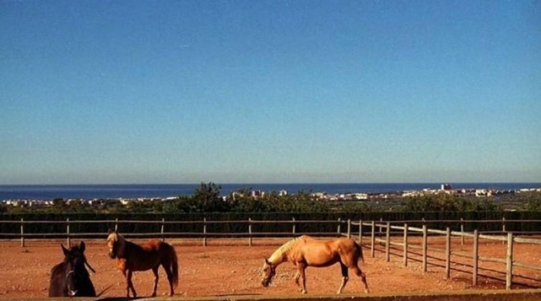 Tarragona - el Vendrell - 23350m2
