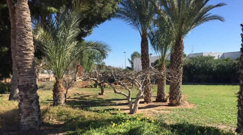 Alicante - Villajoyosa - 5500m2