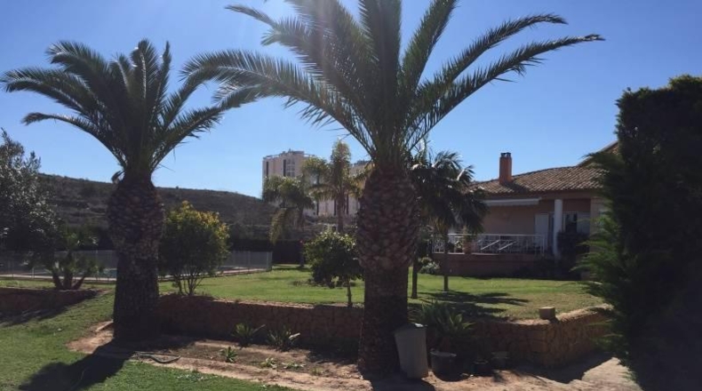 Alicante - Villajoyosa - 5500m2