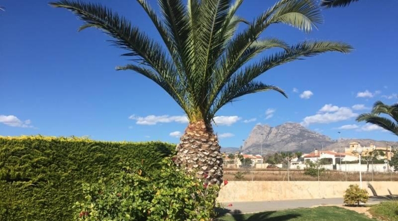 Alicante - Villajoyosa - 5500m2