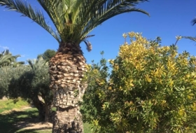Foto 14