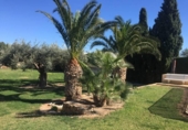 Chalet independiente con terreno en venta en la España, Villajoyosa, ref: TR134483 foto