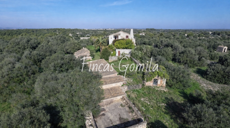 Балеарские острова - Ciudadela - 77634m2