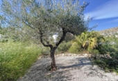 Xalet independent amb terreny en venda a la España, el Poble Nou de Benitatxell, ref.: TR142287 foto