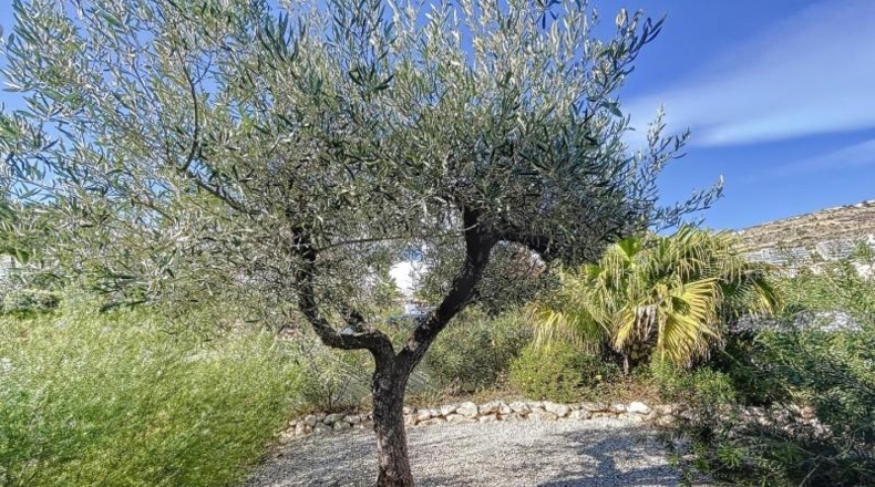 Alicante - Benitachell - 803m2