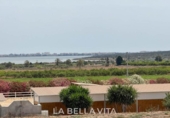 Detached villa with land for sale on España, Rojales, ref: TR157294 photo