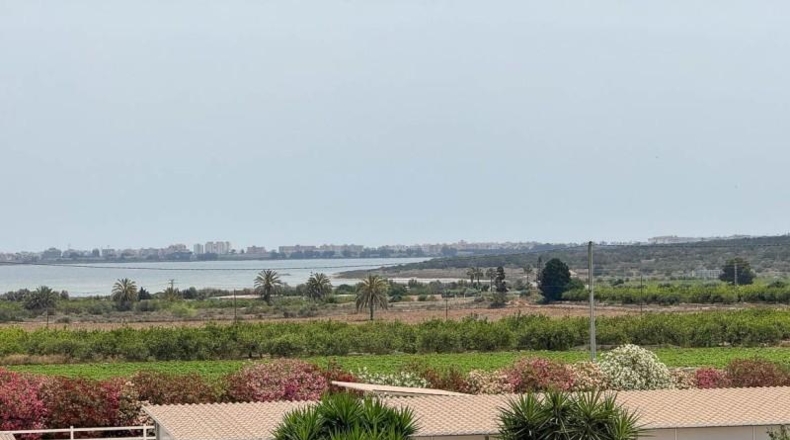 Alicante - Rojales - 11000m2
