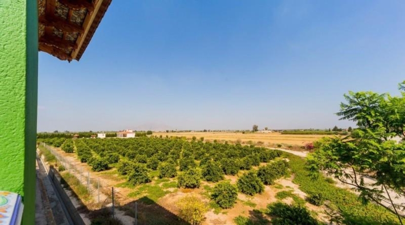 Alicante - Almoradí - 7000m2
