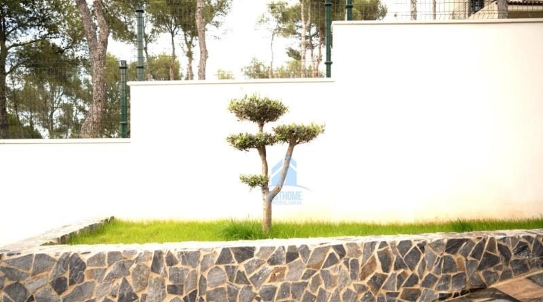 Castellón - Orpesa - 800m2