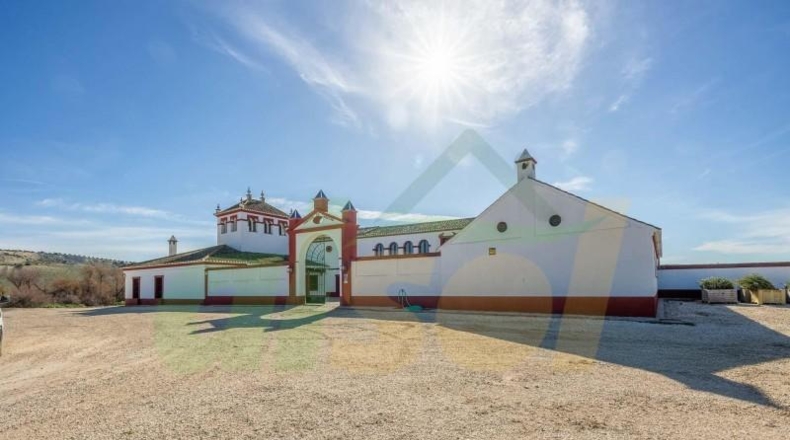 Севилья - La Puebla de Cazalla - 2220m2