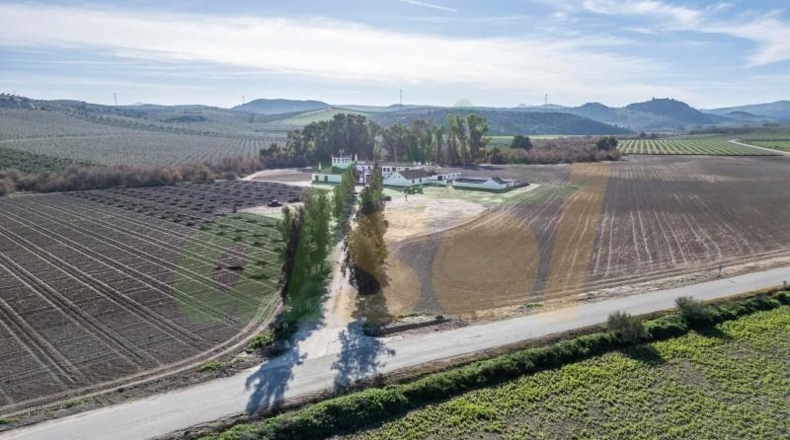 Севилья - La Puebla de Cazalla - 2220m2