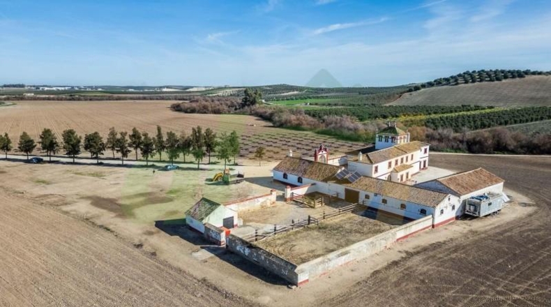 Севилья - La Puebla de Cazalla - 2220m2