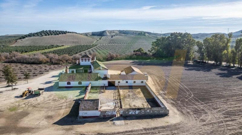 Севилья - La Puebla de Cazalla - 2220m2