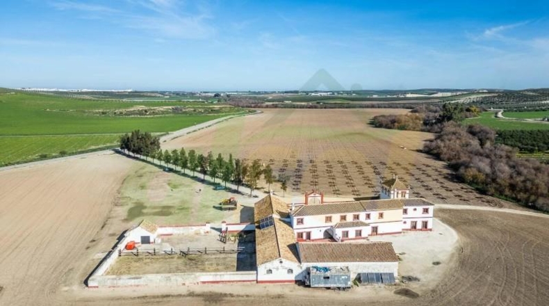 Севилья - La Puebla de Cazalla - 2220m2