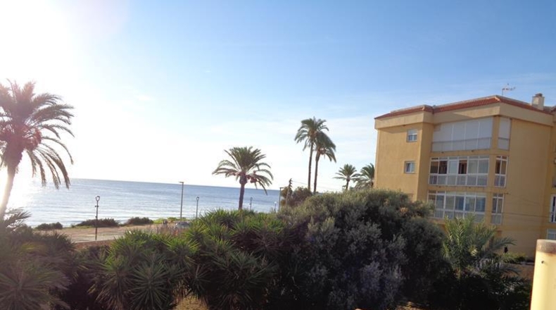Alicante - Торревьеха - 1200m2