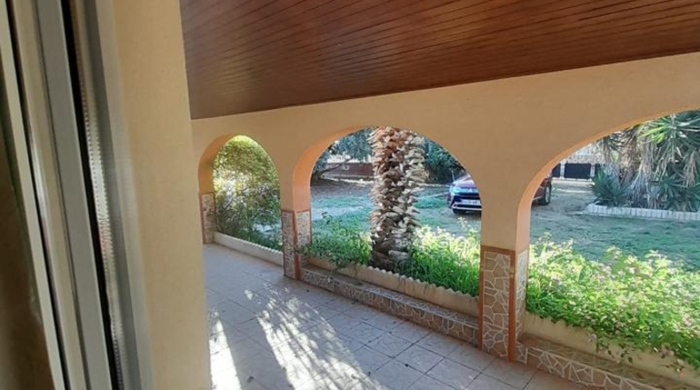 Alicante - Торревьеха - 1200m2