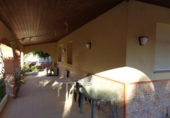 Xalet independent amb terreny en venda a la España, Torrevella, ref.: TR351061 foto