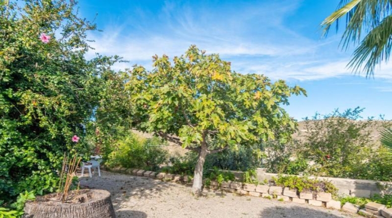 Alicante - Campello - 2387m2