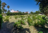 Xalet independent amb terreny en venda a la España, Dénia, ref.: TR320235 foto