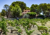 Xalet independent amb terreny en venda a la España, Dénia, ref.: TR320235 foto
