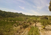 Chalet independiente con terreno en venta en la España, Moratalla, ref: TR317814 foto
