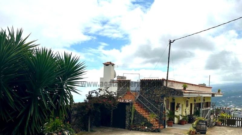 Santa Cruz de Tenerife - Icod de los Vinos - 4409m2