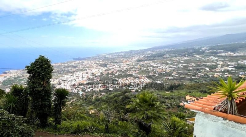Santa Cruz de Tenerife - Icod de los Vinos - 4409m2