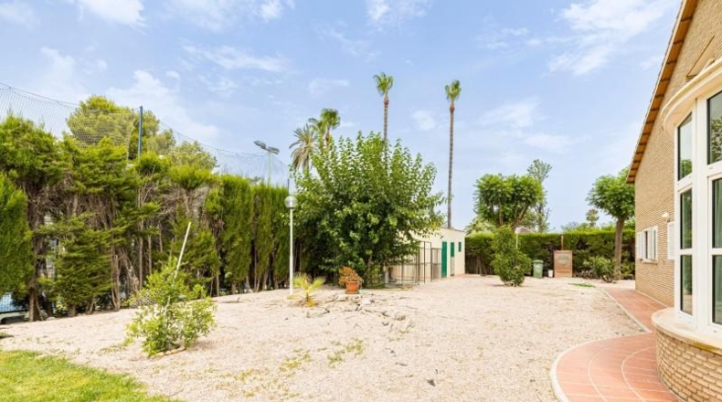 Murcia - Murcia - 2300m2