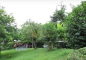 Casa de camp amb terreny en venda a la España, Guecho, ref.: TR293323 foto