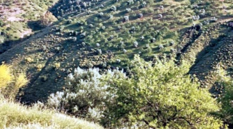 Málaga - Colmenar - 1180000m2