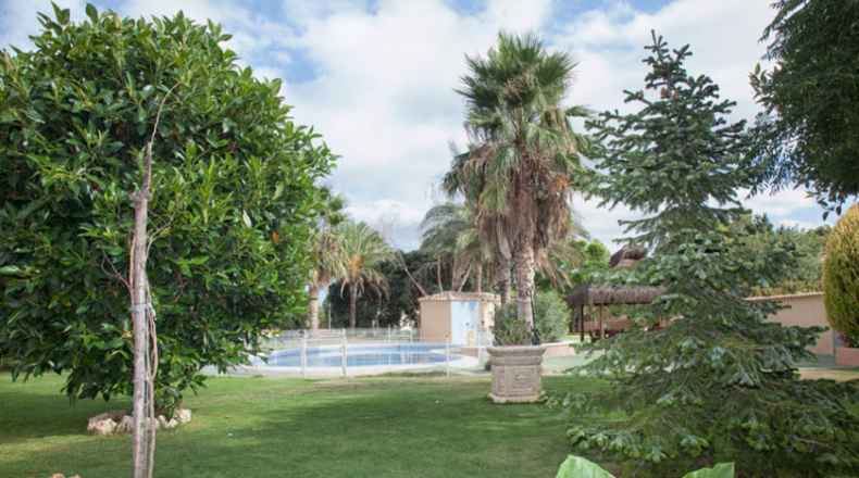 Valencia - Picasent - 10482m2
