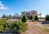 Xalet independent amb terreny en venda a la España, ses Salines, ref.: TR135322 foto