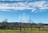Non-developable land for sale on España, Sant Antoni de Portmany, ref: TR116788 photo